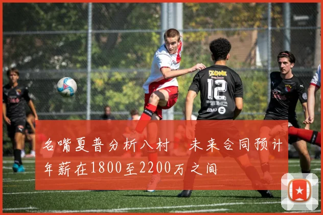 名嘴夏普分析八村塁未来合同预计年薪在1800至2200万之间