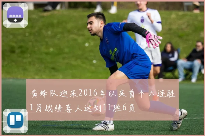 黄蜂队迎来2016年以来首个六连胜1月战绩喜人达到11胜6负